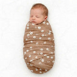 #color_cinnamon daisy